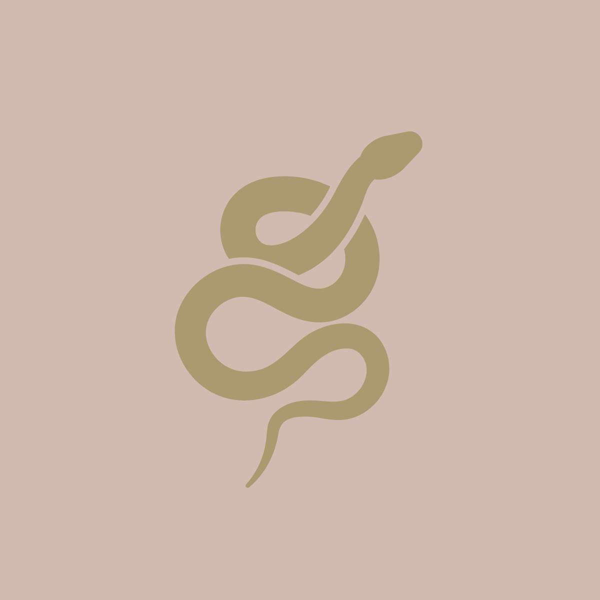 ICONIX - Founder & CEO